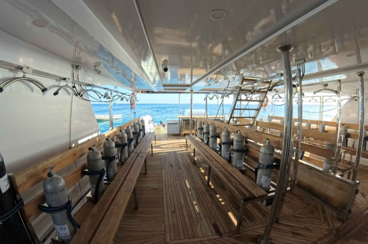 All Star Ghani Liveaboard Image