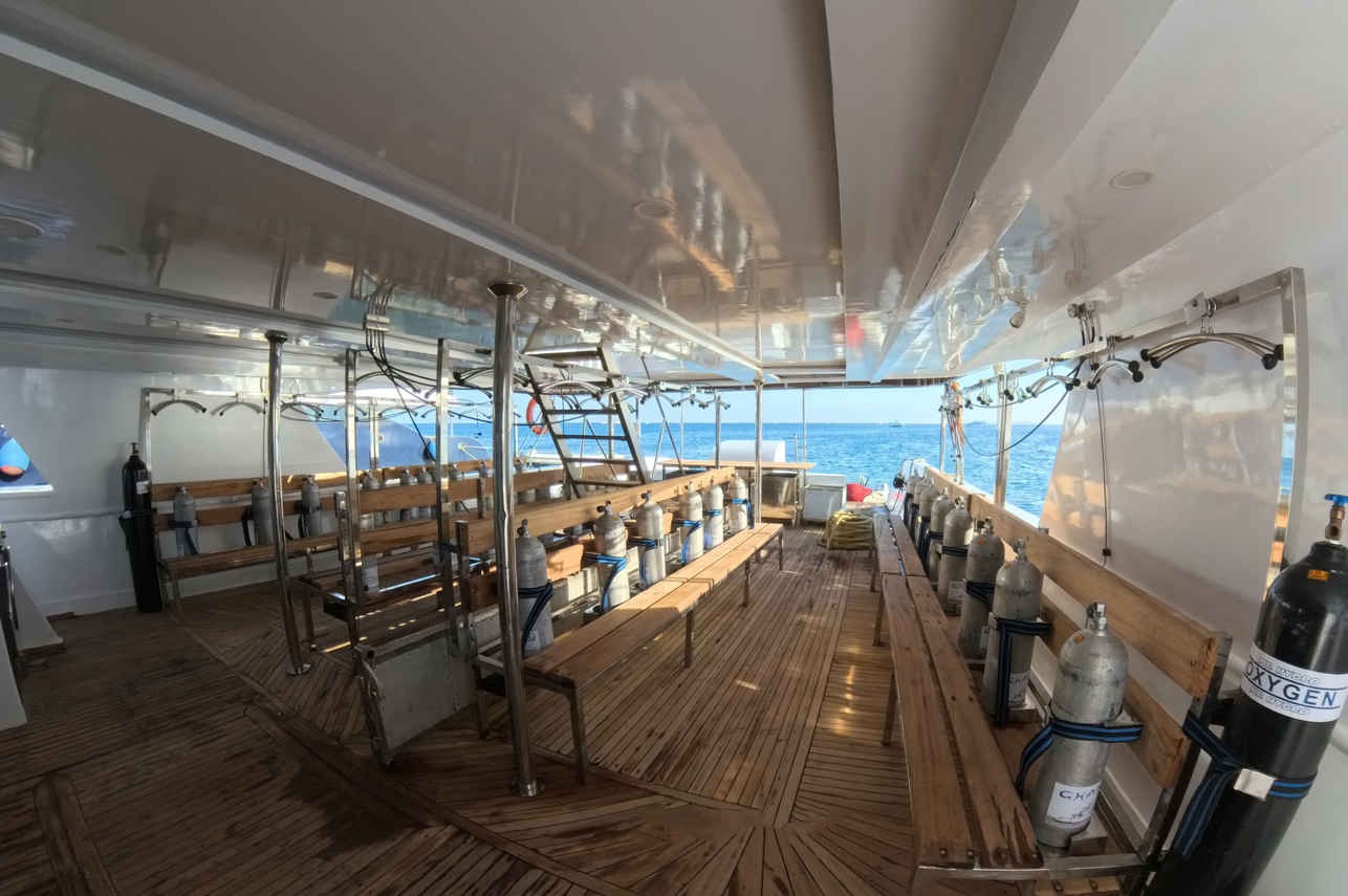 All Star Ghani Liveaboard