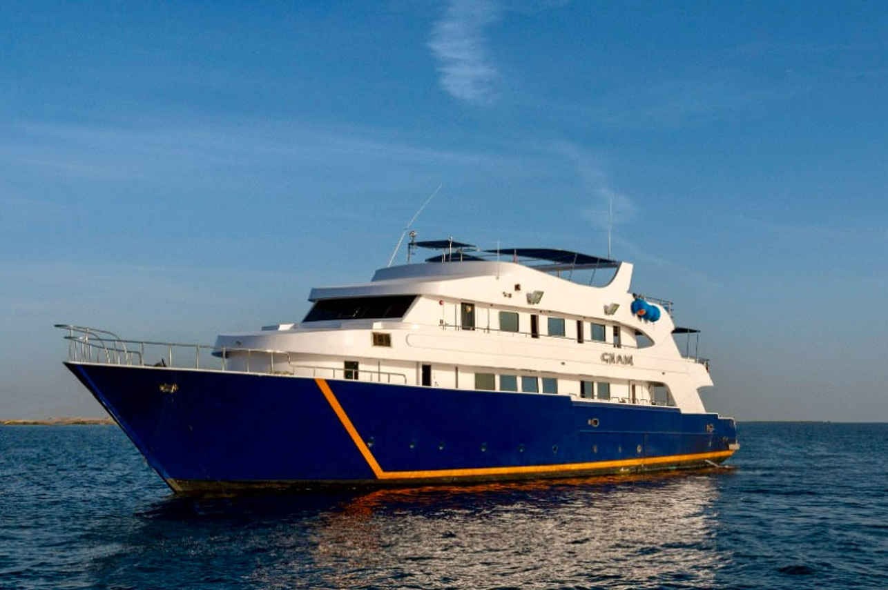 All Star Ghani Liveaboard