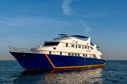 All Star Ghani Liveaboard