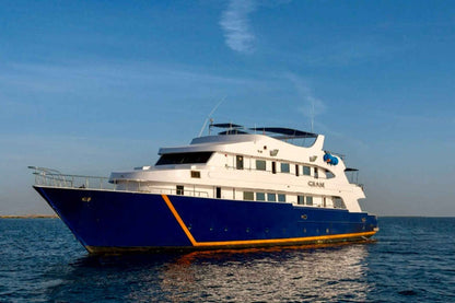 All Star Ghani Liveaboard