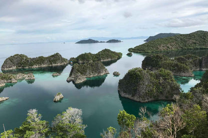 All Star Velocean Liveaboard