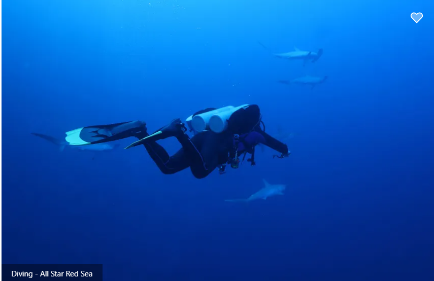 All Star Scuba Scene