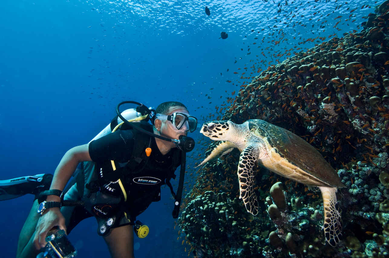 Alsuraya Liveaboard