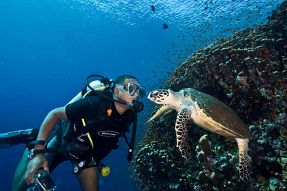 Alsuraya Liveaboard