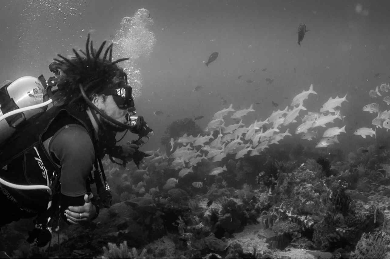 Amalia Komodo Liveaboard