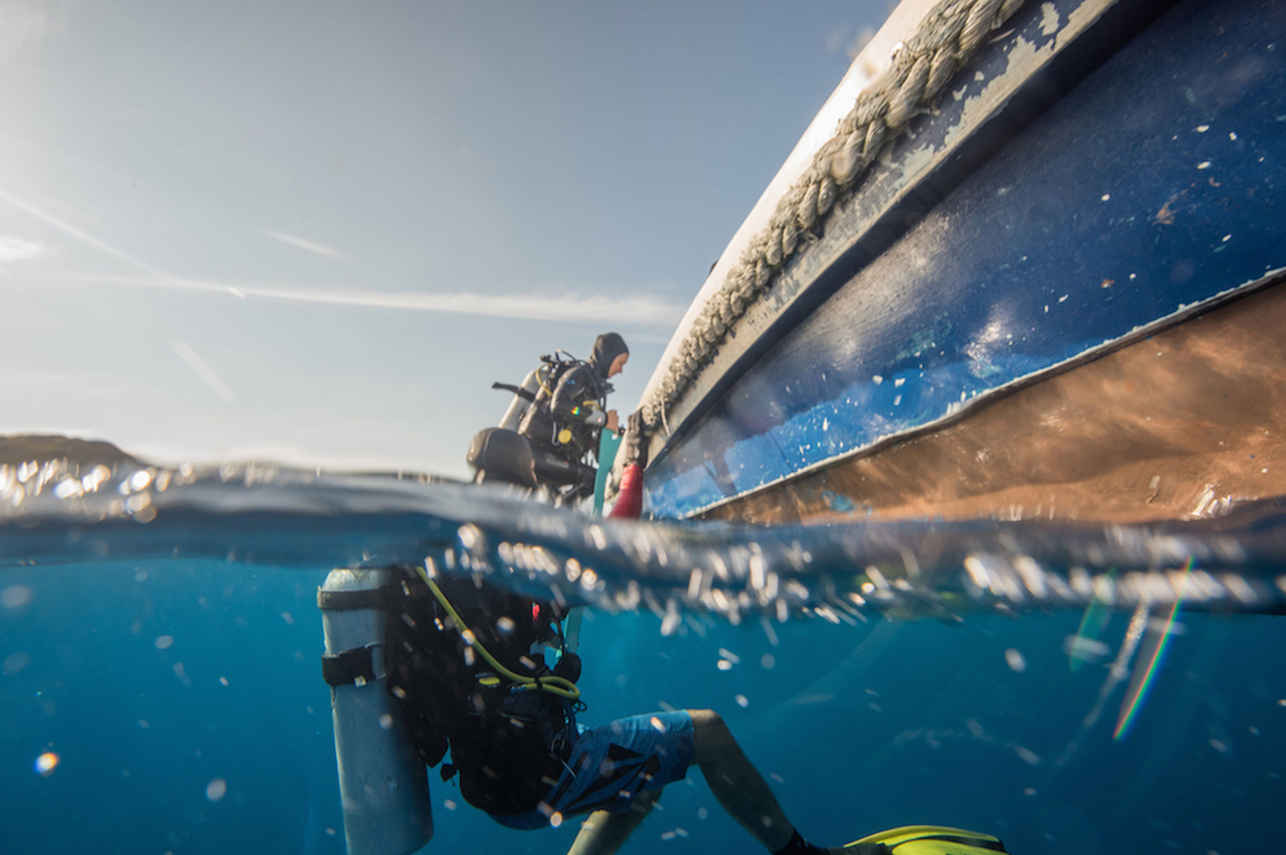 Amalia Komodo Liveaboard