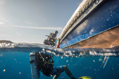 Amalia Komodo Liveaboard