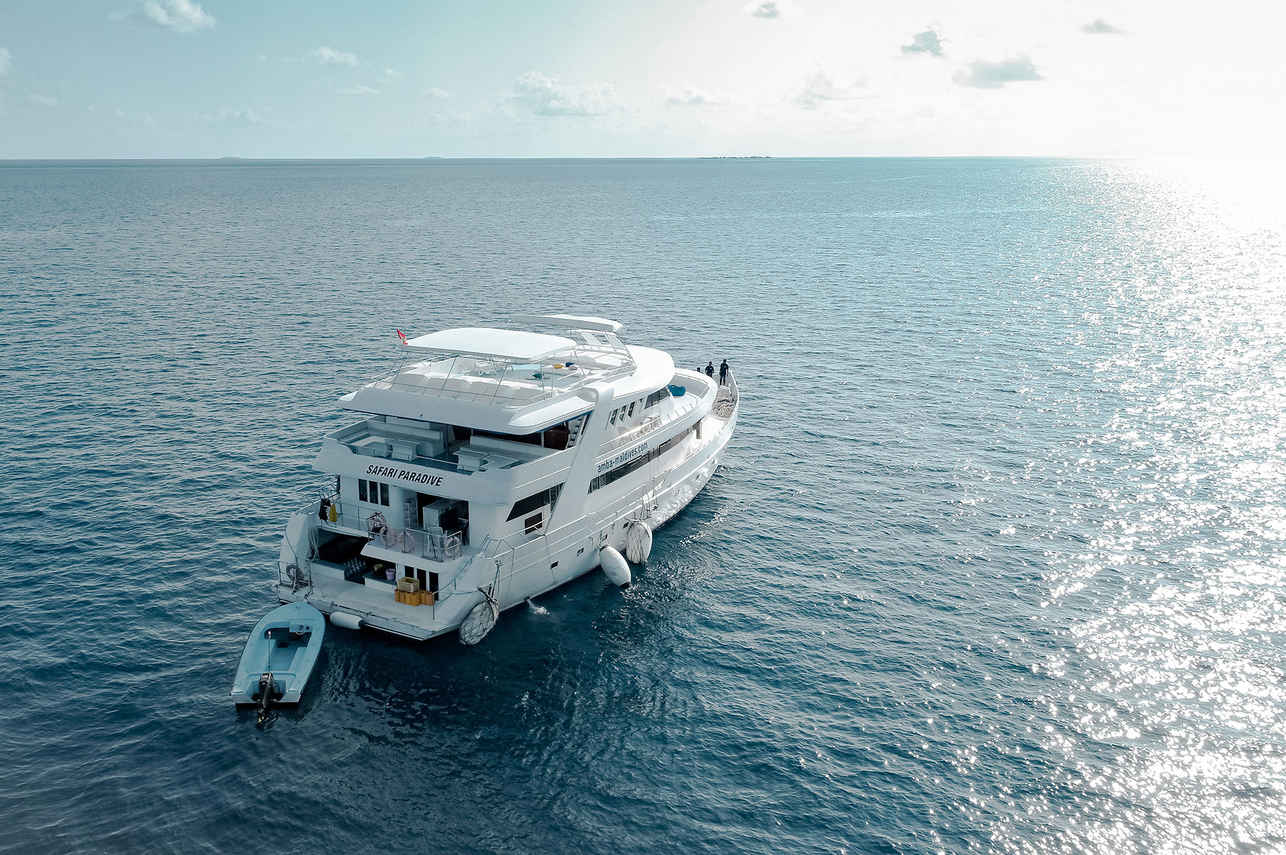 Amba Liveaboard Image