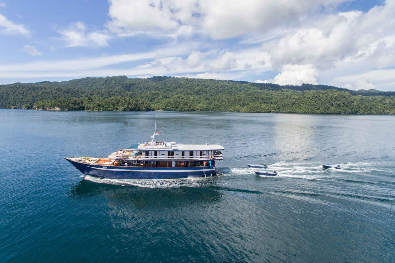 Ambai Liveaboard