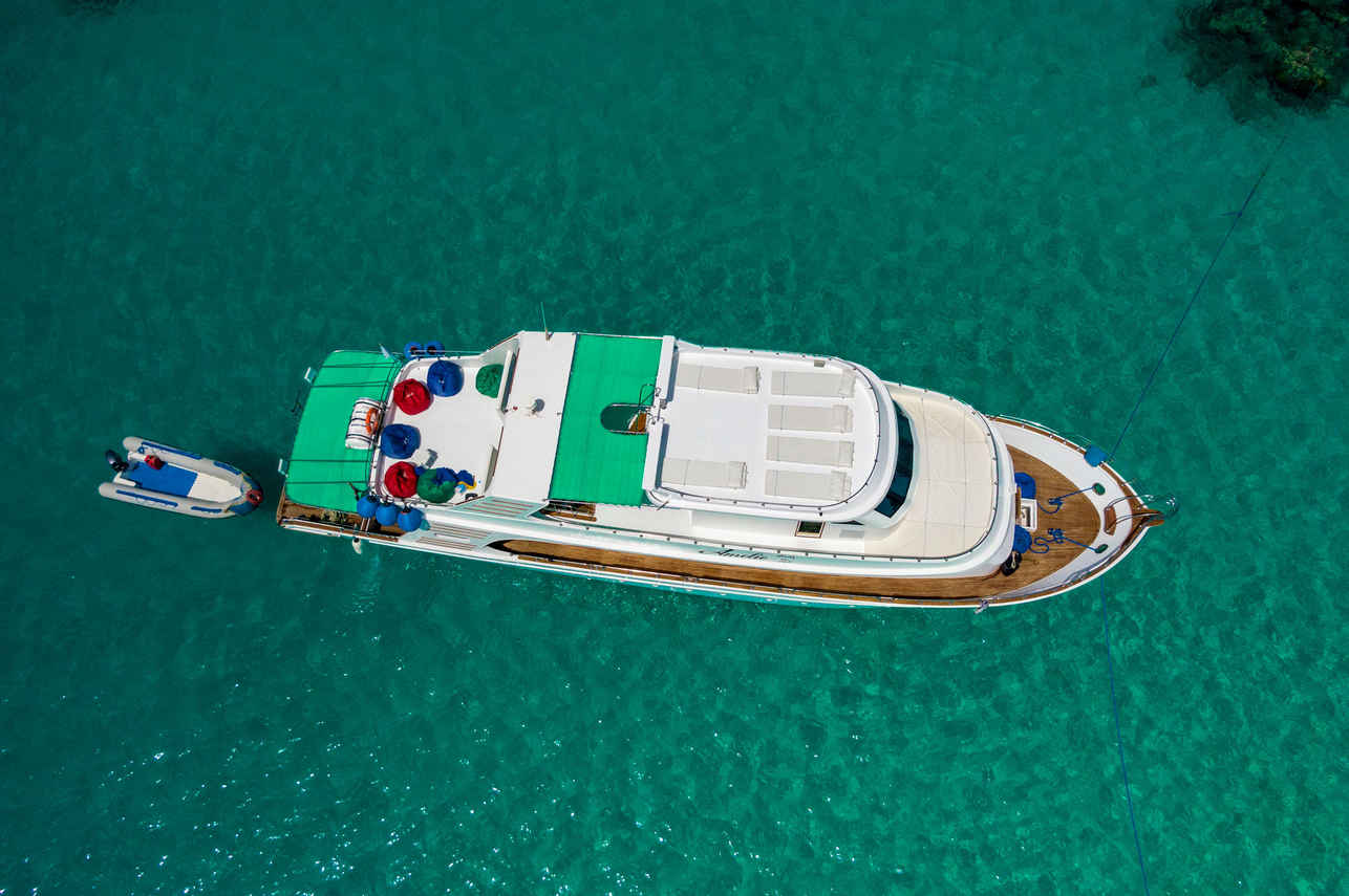 Amelie Liveaboard