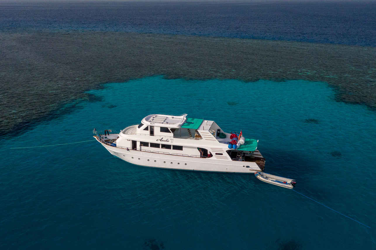 Amelie Liveaboard