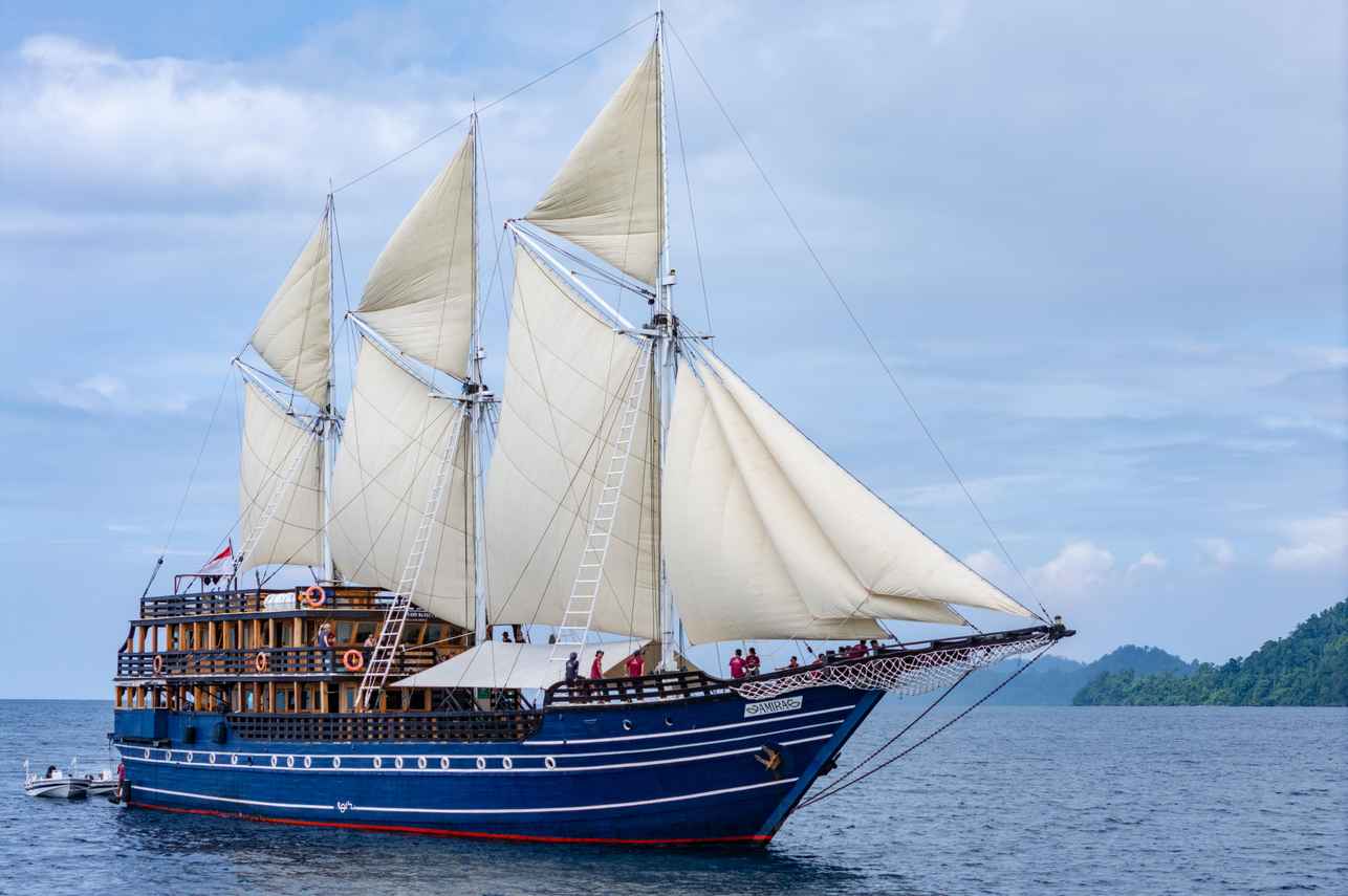 Amira Image