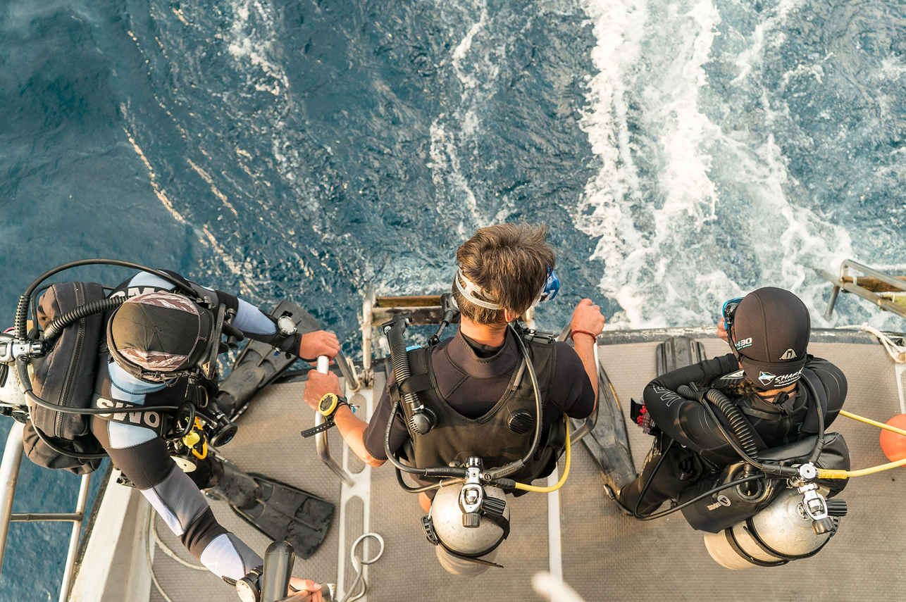 Andaman Liveaboard