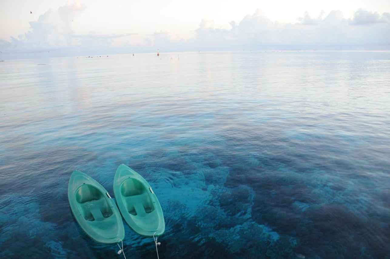 Aqua Tiki II