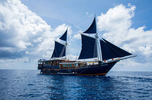Aurora Liveaboard