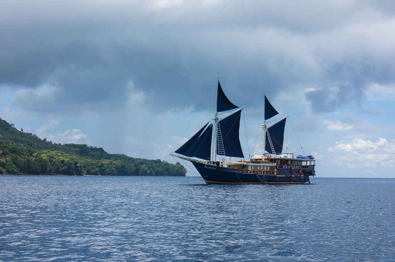 Aurora Liveaboard
