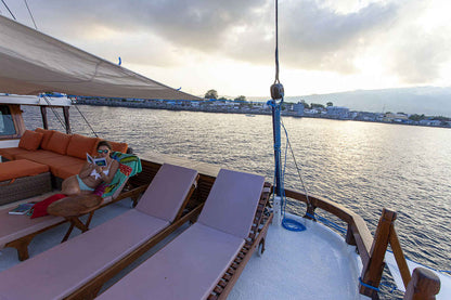 Aurora Liveaboard