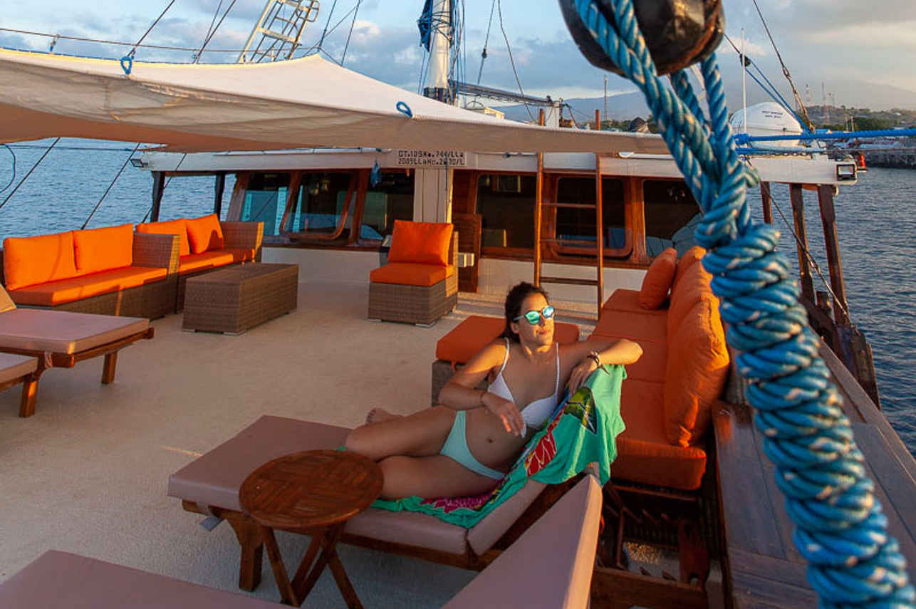 Aurora Liveaboard