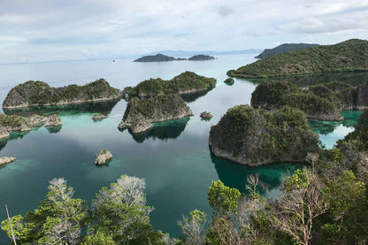 Aurora Liveaboard