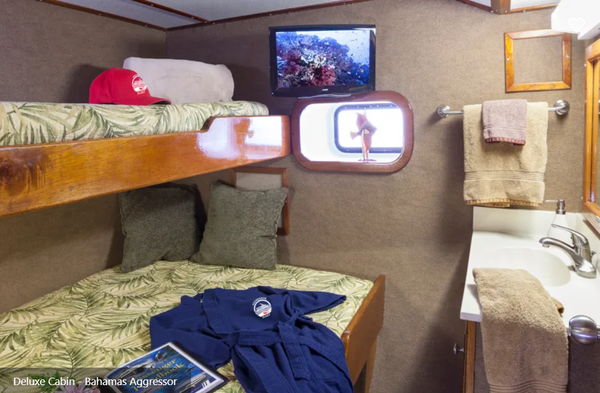 Cabin Image