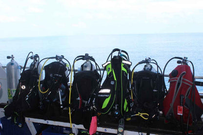 Bavaria Liveaboard