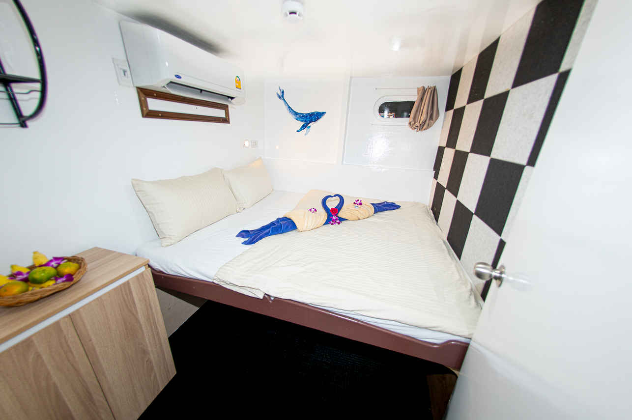 Bavaria Liveaboard