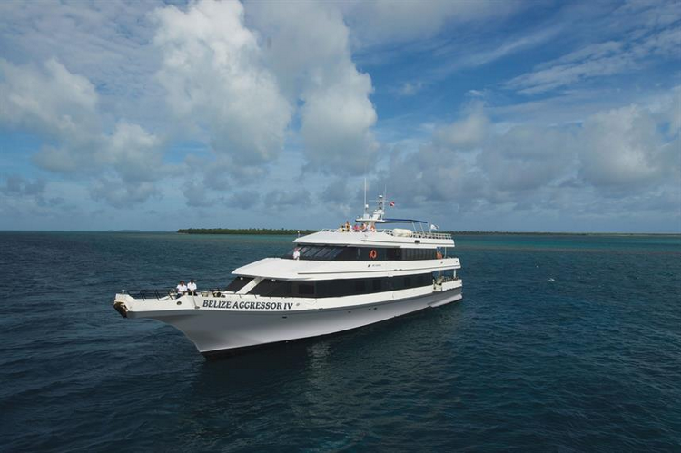Belize Aggressor IV Image
