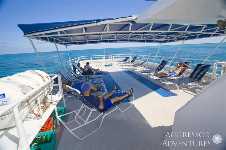 Belize Aggressor IV