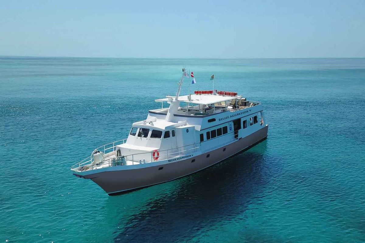 Belize Aggressor V