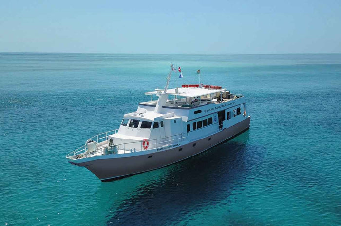 Belize Aggressor V Liveaboard