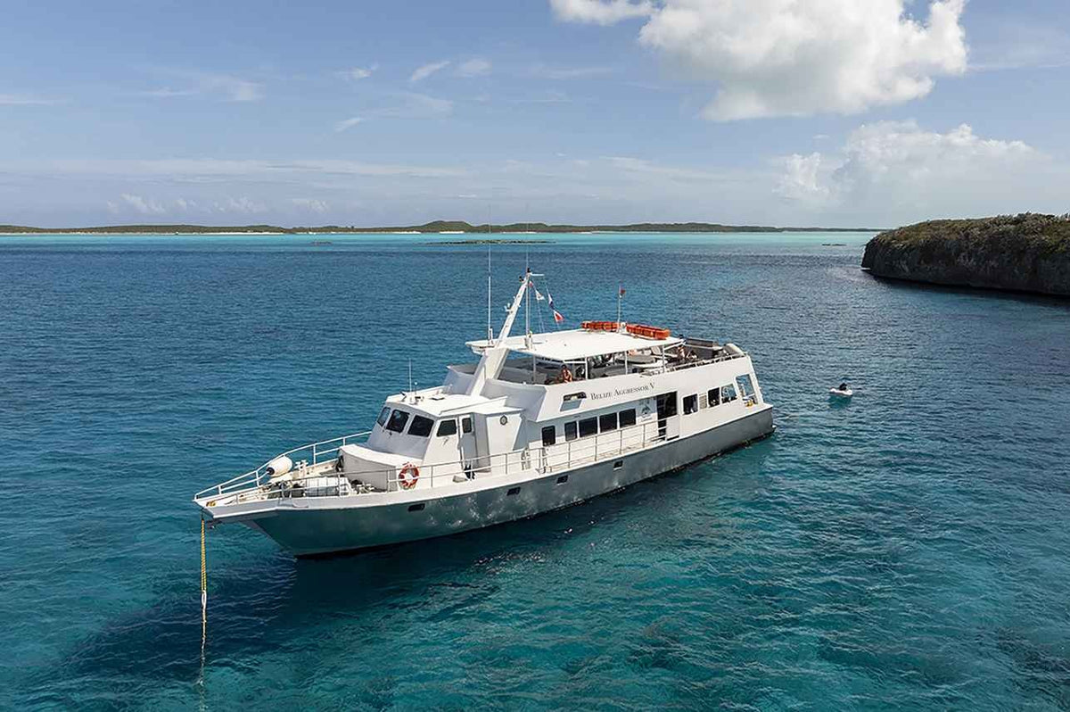 Belize Aggressor V