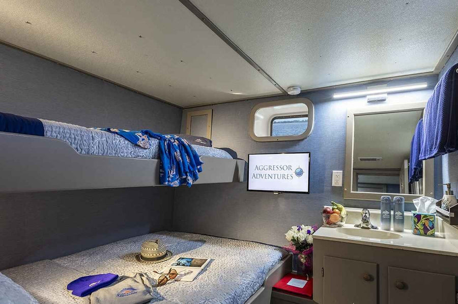 Cabin image