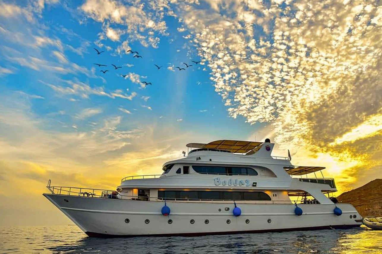 Bella 2 Liveaboard
