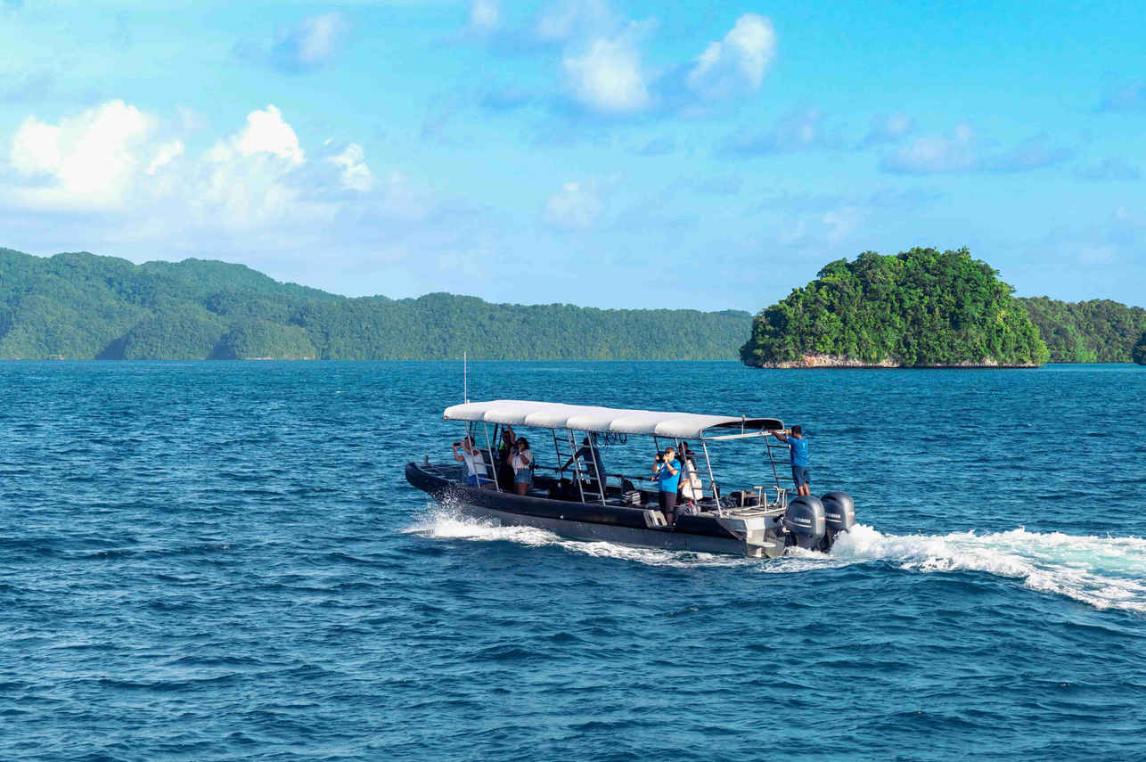 Black Pearl Liveaboard