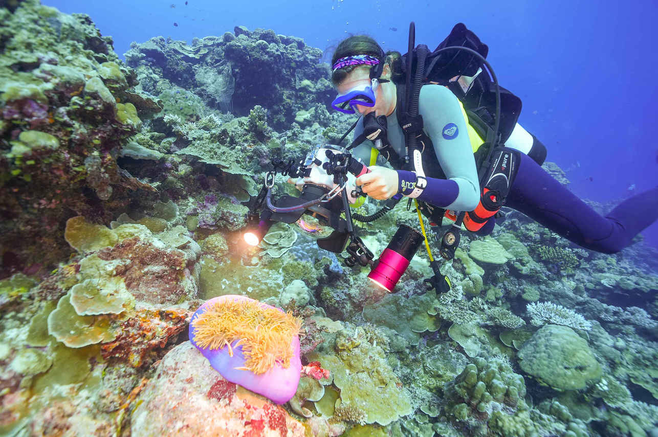 Black Pearl Liveaboard Image