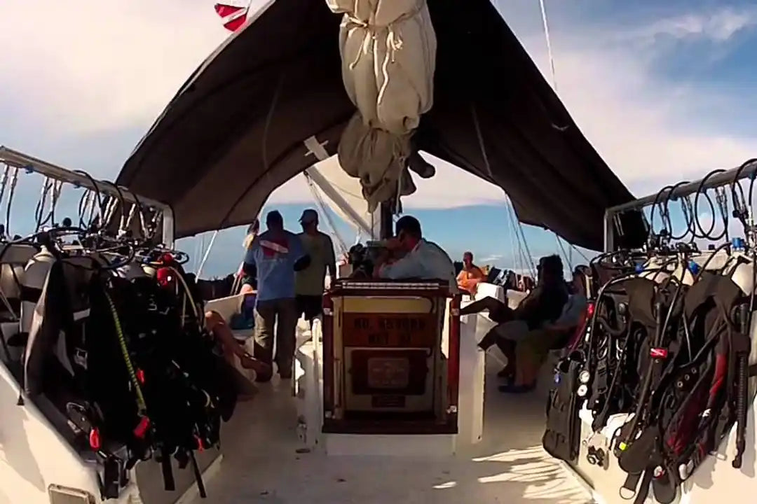 Blackbeards Sea Explorer