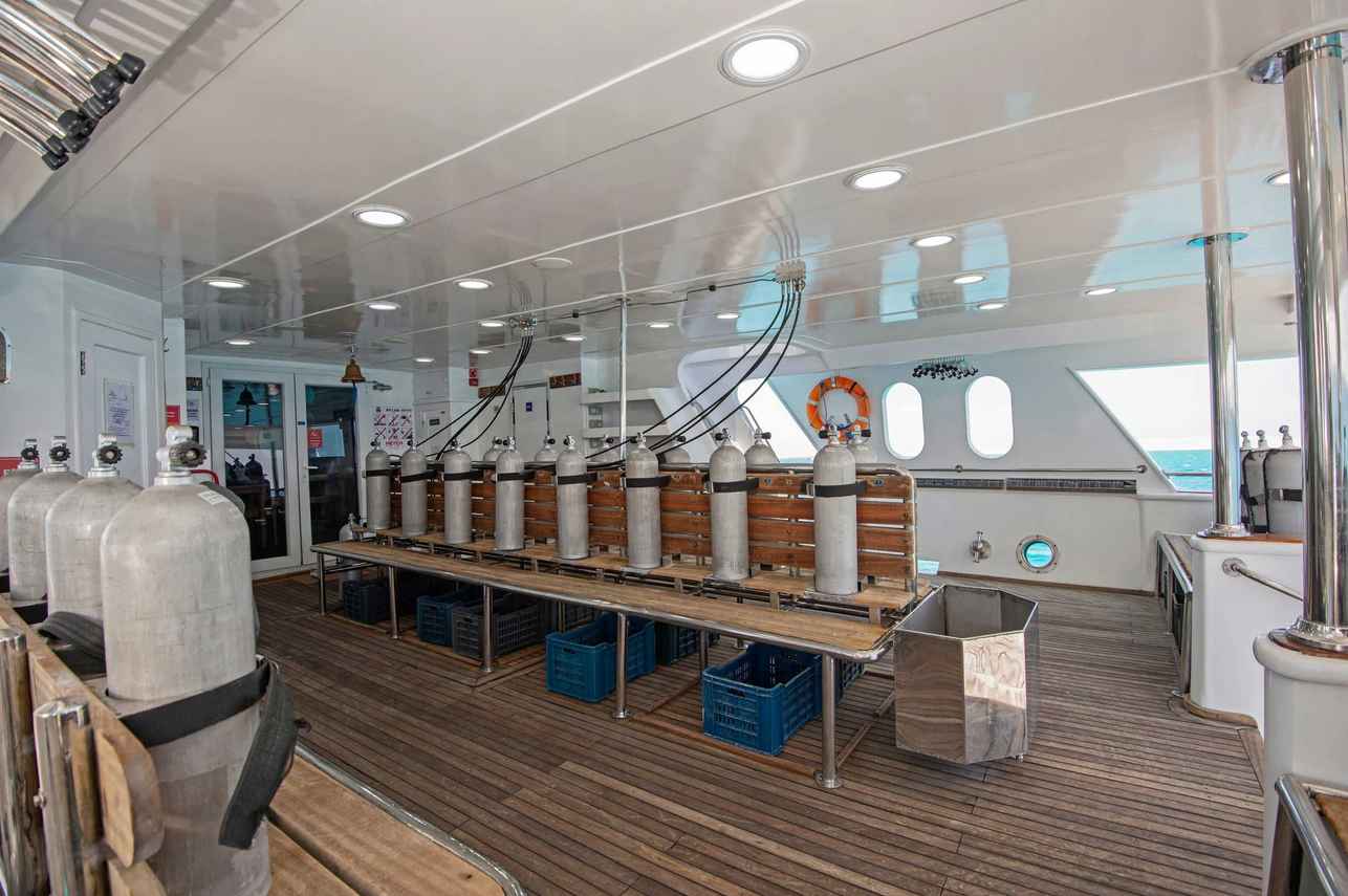 Blue Horizon Liveaboard