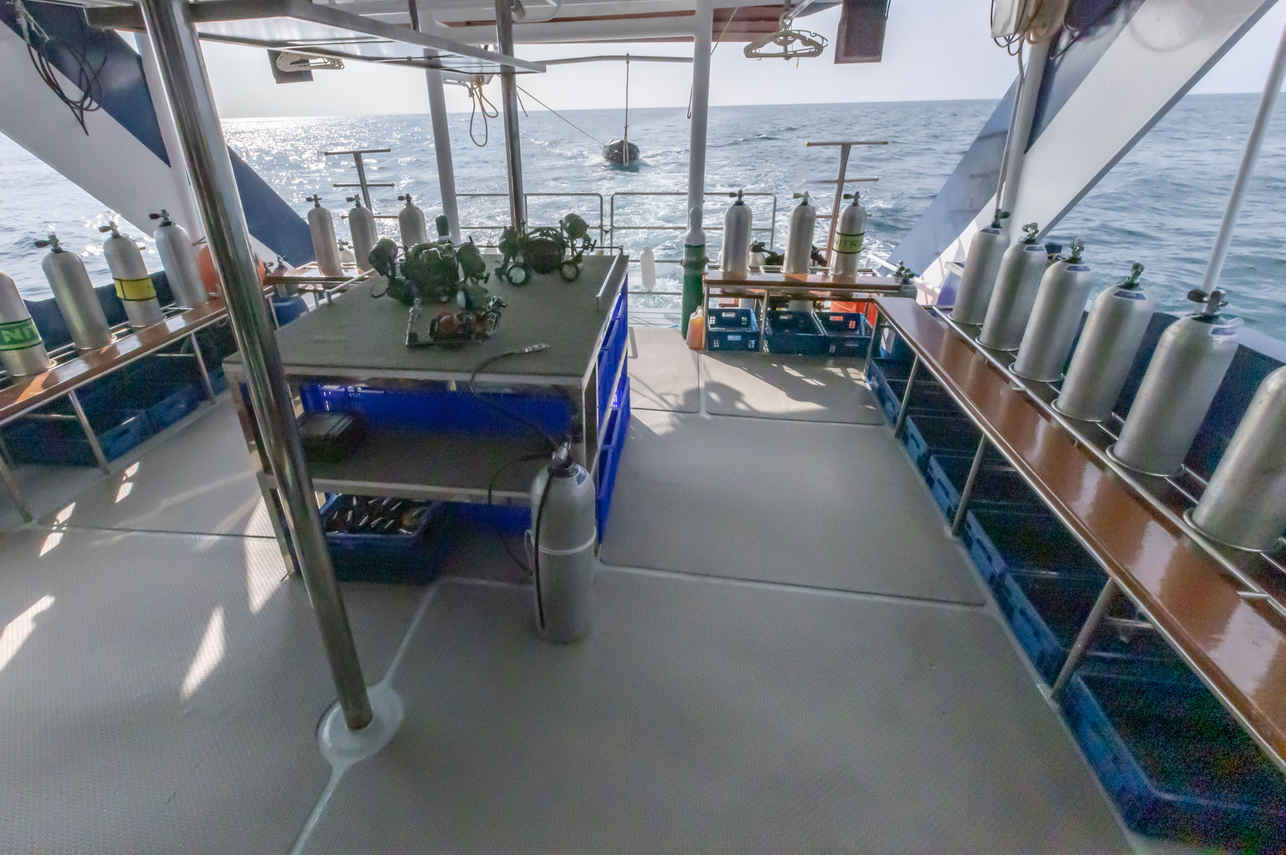 Blue Dolphin Liveaboard