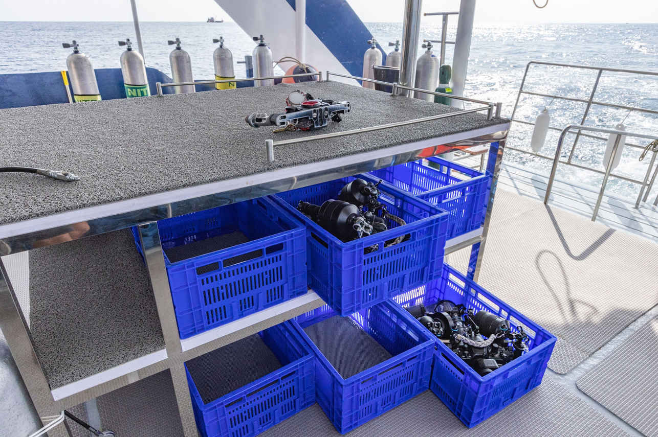 Blue Dolphin Liveaboard