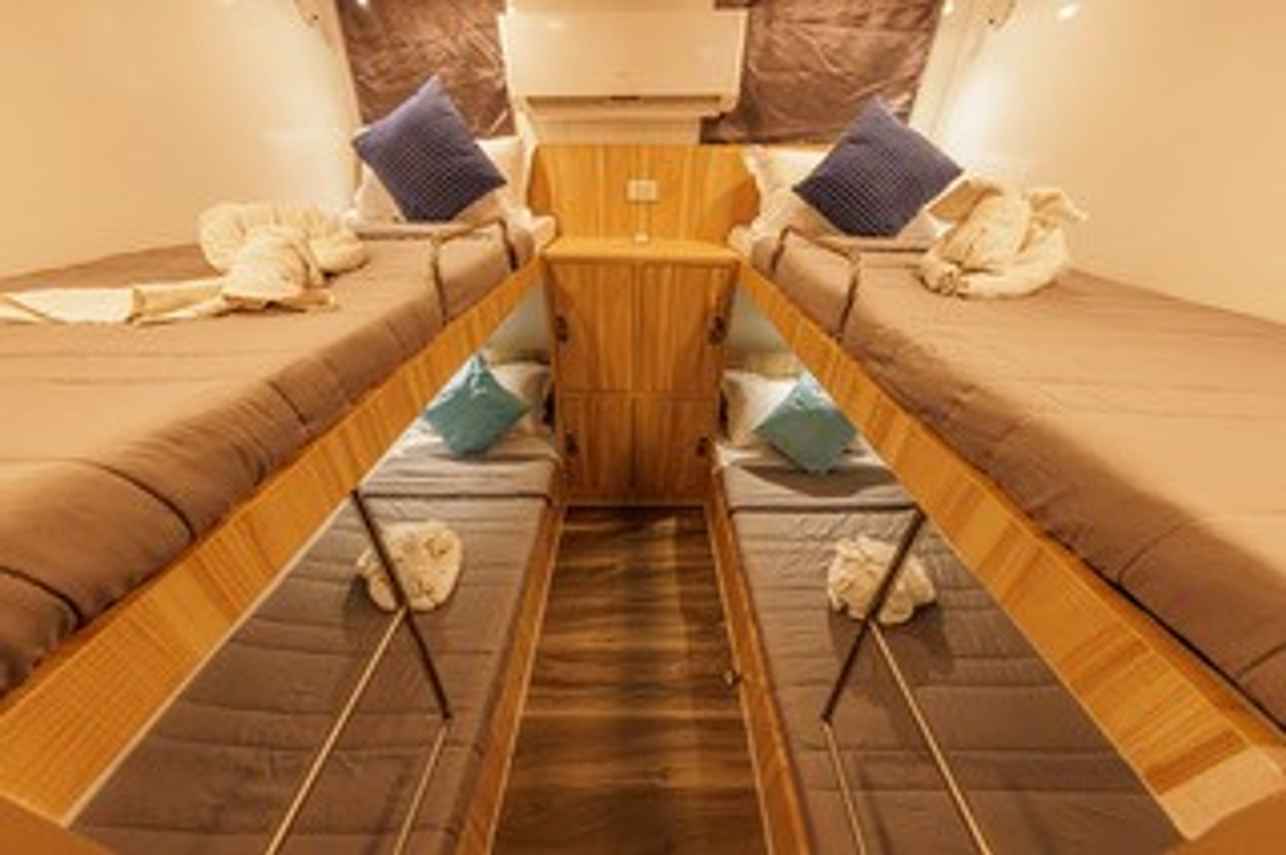 Blue Dolphin Liveaboard