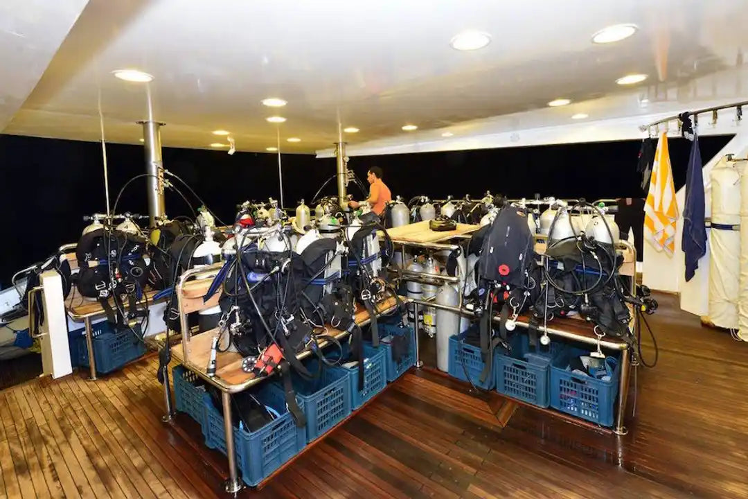 Blue Liveaboard