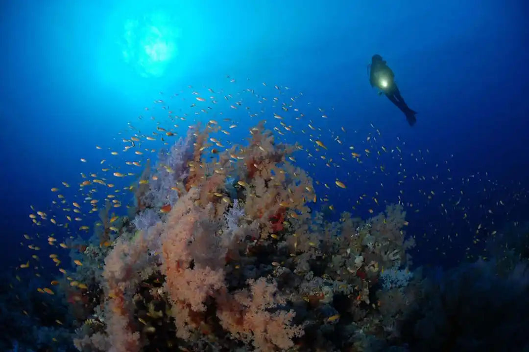 Blue Liveaboard