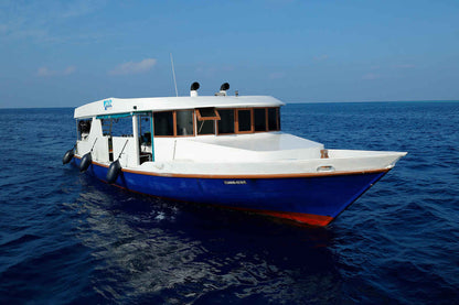 Blue Liveaboard