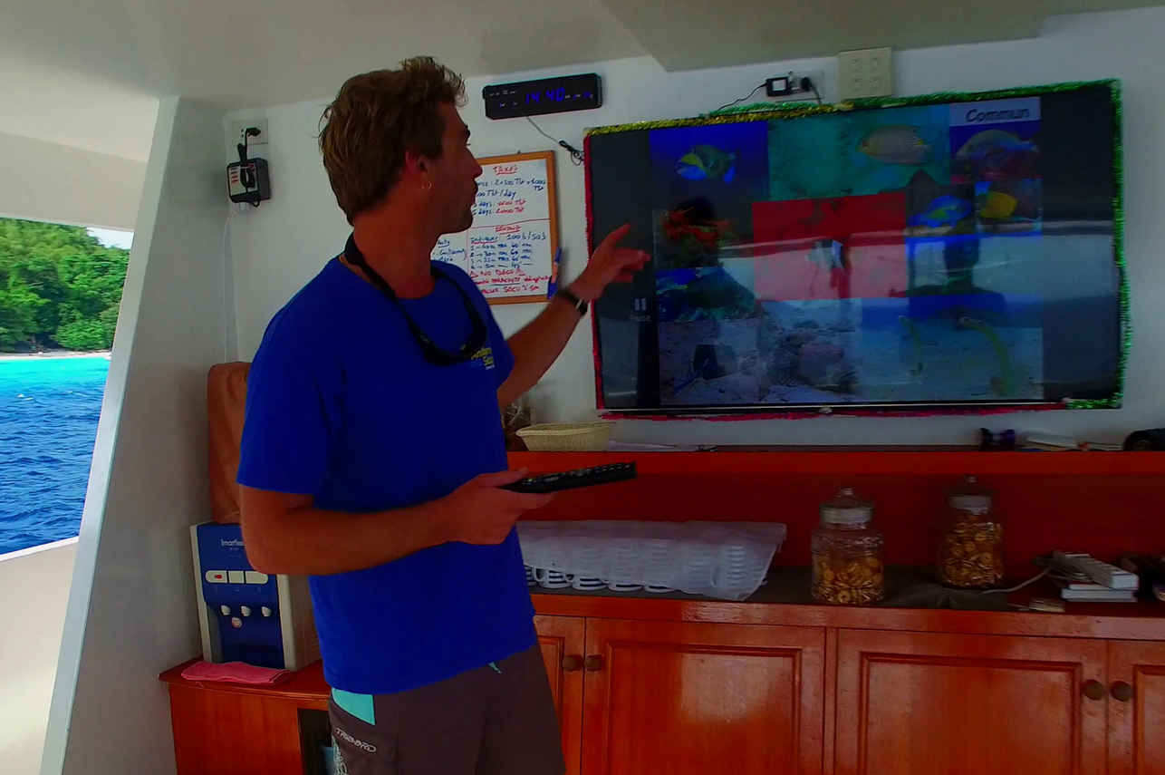 Bunmee 4 Liveaboard