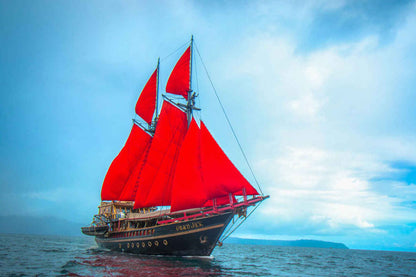 Calico Jack Liveaboard