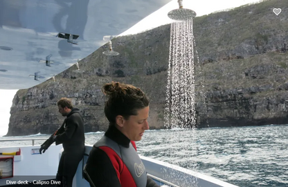 Calipso Dive Liveaboard