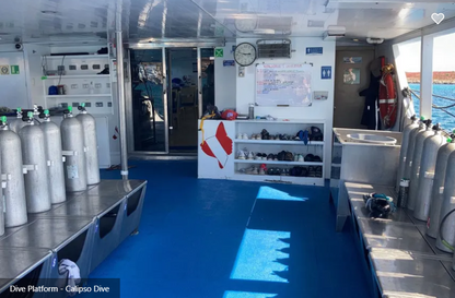Calipso Dive Liveaboard