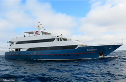 Calipso Dive Liveaboard