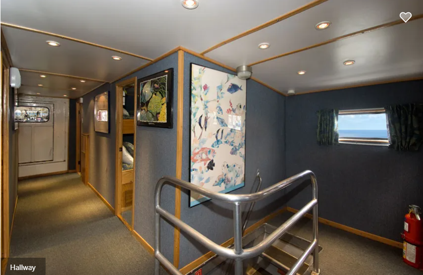 Caribbean Explorer II